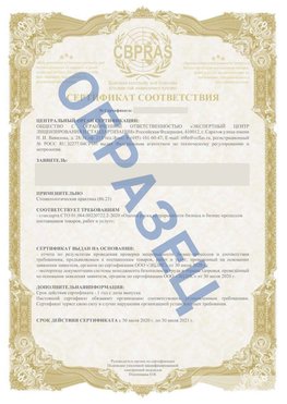 Образец Сертификат СТО 01.064.00220722.2-2020 Арзамас Сертификат СТО 01.064.00220722.2-2020 