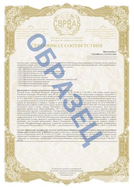 Образец Приложение к СТО 01.064.00220722.2-2020 Арзамас Сертификат СТО 01.064.00220722.2-2020 